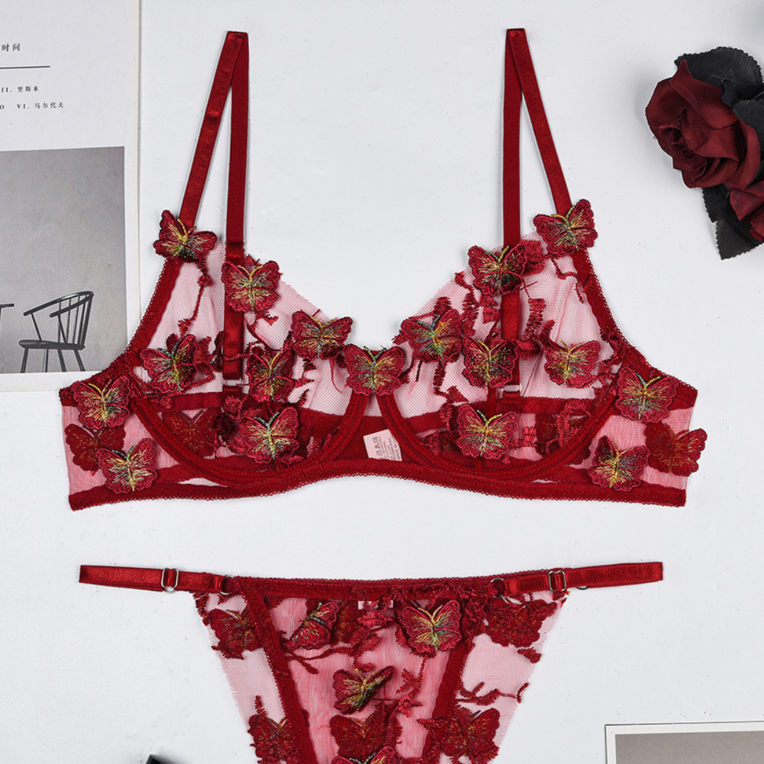 Butterfly Embroidery See Through Lingerie 2 Piece Set