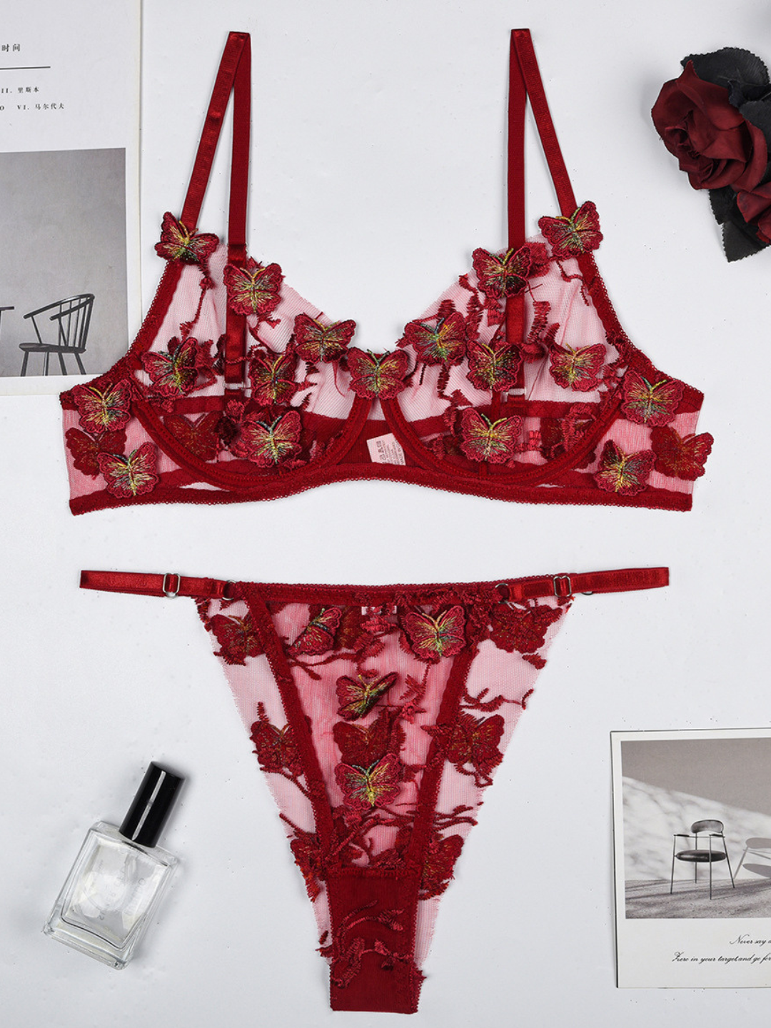 Butterfly Embroidery See Through Lingerie 2 Piece Set